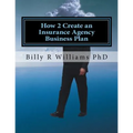 How 2 Create an Insurance Agency Business Plan: A simple Yes or No based questionnaire