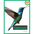 Hummingbird