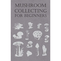Mushroom Collecting for Beginners