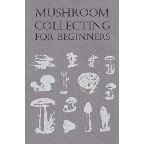 Mushroom Collecting for Beginners