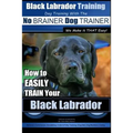 Black Labrador Training with the No BRAINER Dog TRAINER We Make it THAT Easy!: How to EASILY TRAIN Your Black Labrador