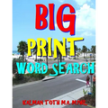 Big Print Word Search: 133 Entertaining Themed Puzzles
