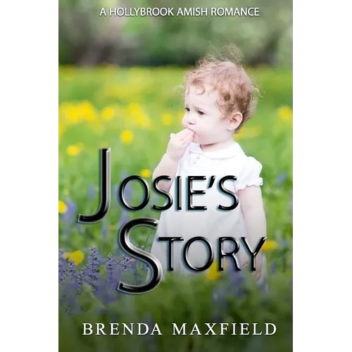Amish Romance: Josie's Story: A Hollybrook Amish Romance Bundle