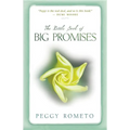 Little Book of Big Promises