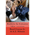 Rabbits In Colonies: Grayscale