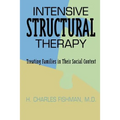 Intensive Structural Therapy: Treating Families in Their Social Context