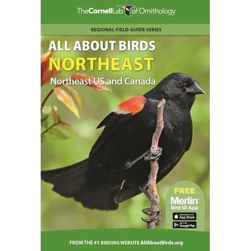All about Birds Northeast: Northeast Us and Canada
