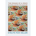 The Mirage of a Space between Nature and Nurture