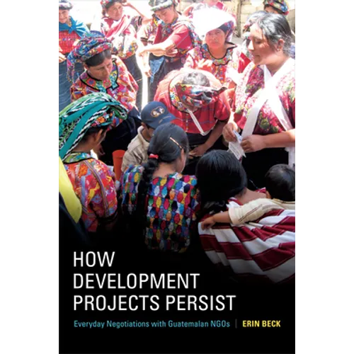 How Development Projects Persist: Everyday Negotiations with Guatemalan NGOs