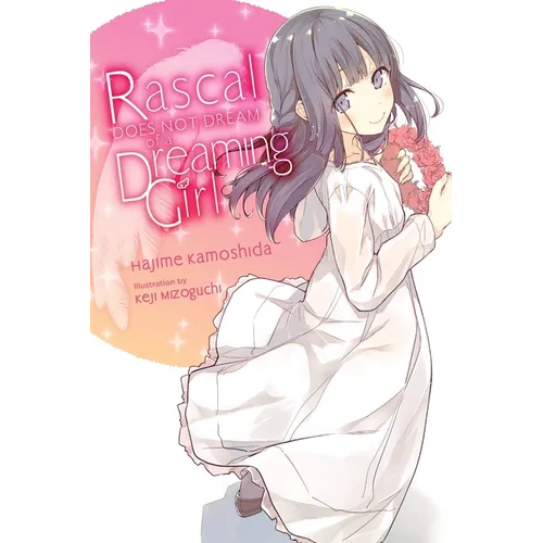 Rascal Does Not Dream of a Dreaming Girl (Light Novel)