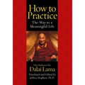 How to Practice: The Way to a Meaningful Life