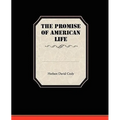 The Promise Of American Life