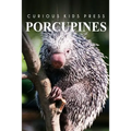Porcupines - Curious Kids Press: Curious Kids Press