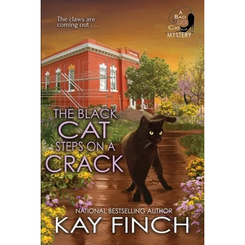 The Black Cat Steps on a Crack