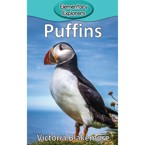Puffins