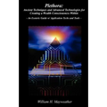 Plethora: Ancient Techniques and Advanced Technologies for Creating a Wealth Consciousness Within: - An Esoteric Guide w/ Application Techs and Tools