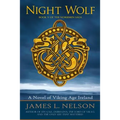 Night Wolf: A Novel of Viking Age Ireland
