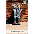 Jimmy's Face Meets Brick Wall: A story by Fapelo
