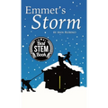Emmet's Storm