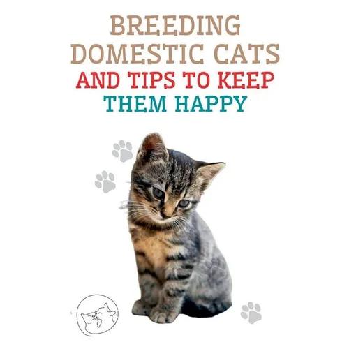 Breeding Domestic Cats and Tips to Keep Them Happy