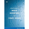A Brief Guide to Mold, Moisture, and Your Home