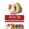 Guinea Pigs: How to care for your Guinea Pig and everything you need to know to keep them well