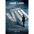 District VIII