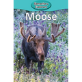 Moose