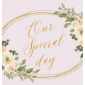 Our Special day, wedding guest book to sign (Hardback)