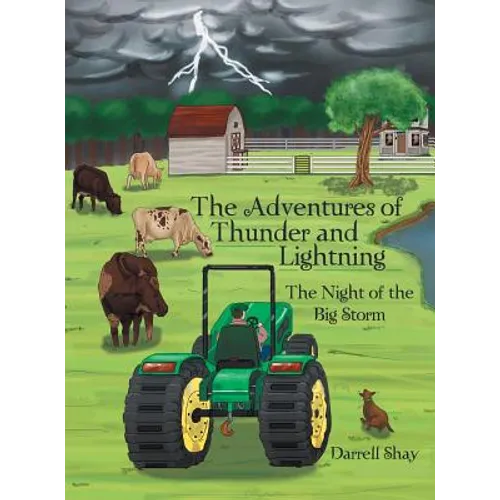 The Adventures of Thunder and Lightning: The Night of the Big Storm