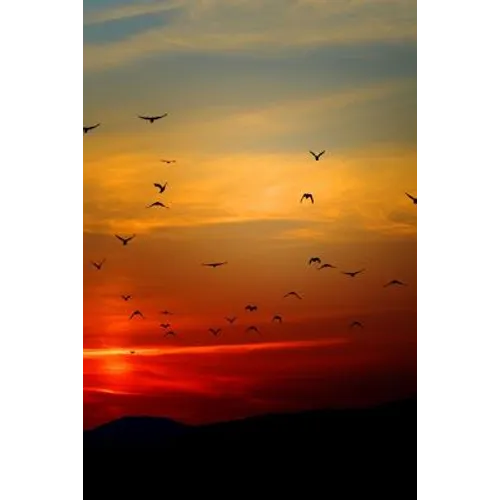 Sunset Flight: Beautiful
