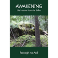 Awakening: Life Lessons from the Sidhe