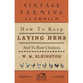 How to Keep Laying Hens and to Rear Chickens