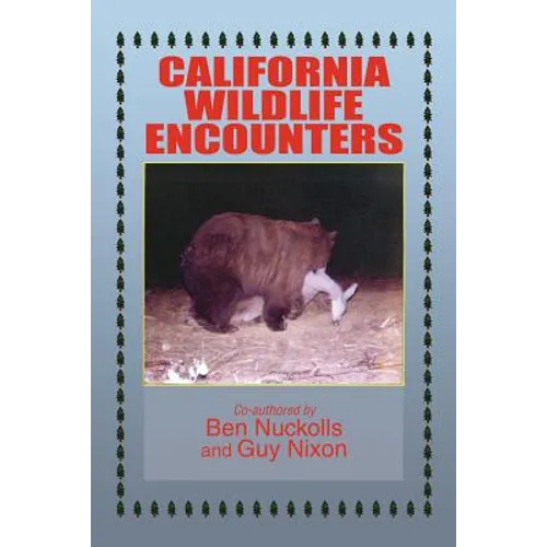 California Wildlife Encounters