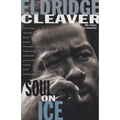 Soul on Ice