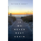 If We Never Meet Again