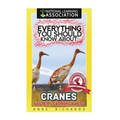 Everything You Should Know About: Cranes