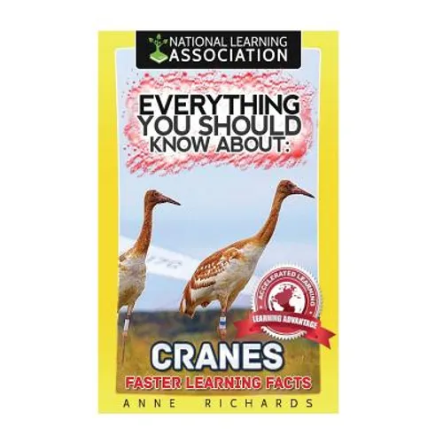 Everything You Should Know About: Cranes