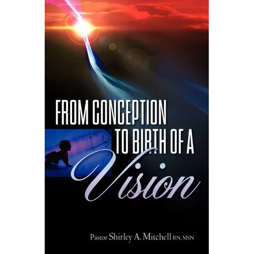 From Conception to Birth of a Vision