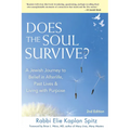 Does the Soul Survive? (2nd Edition): A Jewish Journey to Belief in Afterlife, Past Lives & Living with Purpose