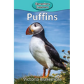 Puffins