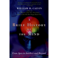 A Brief History of the Mind: From Apes to Intellect and Beyond