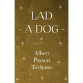 Lad - A Dog