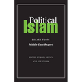 Political Islam: Essays from Middle East Report
