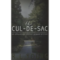 The Cul-de-Sac: An Appalachian Gothic Murder Mystery