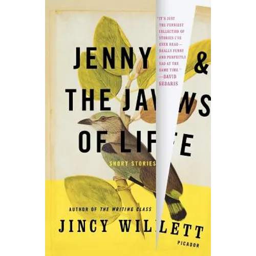Jenny and the Jaws of Life: Short Stories