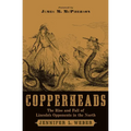 Copperheads: The Rise and Fall of Lincoln's Opponents in the North