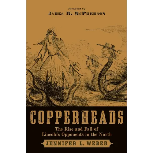 Copperheads: The Rise and Fall of Lincoln's Opponents in the North