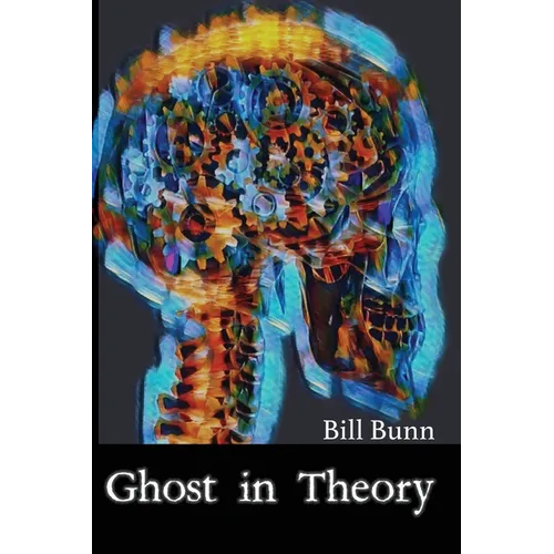 Ghost In Theory