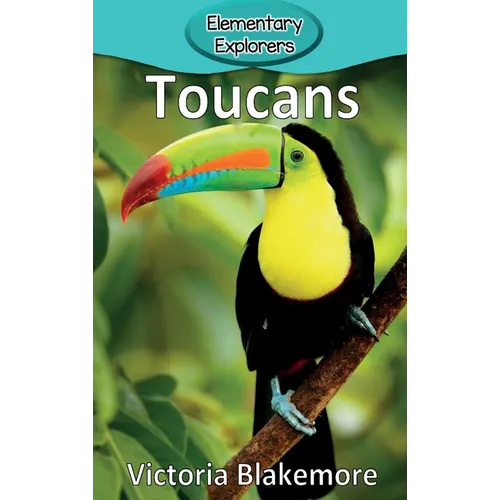 Toucans